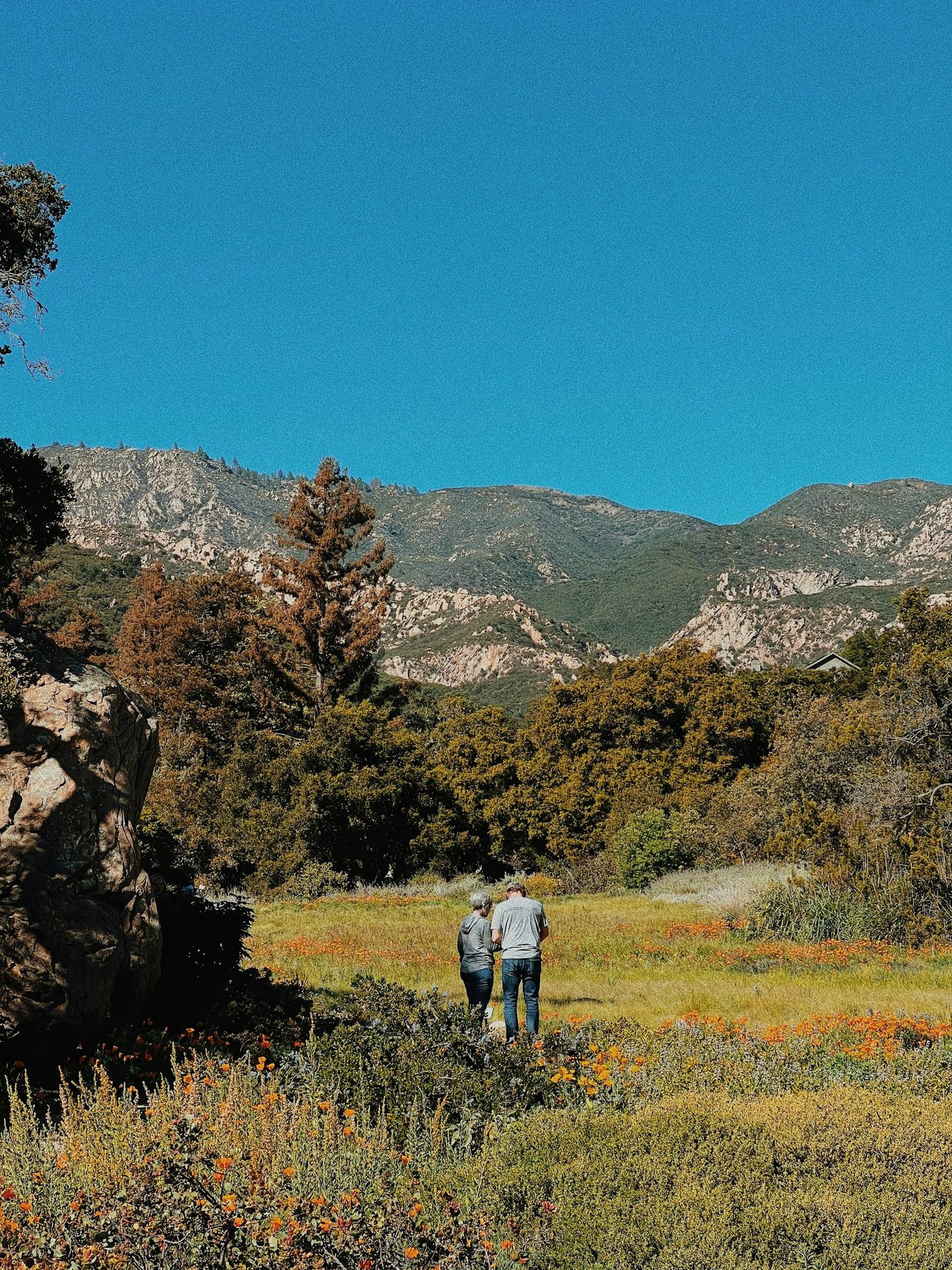 a couple of people that are standing in the grass